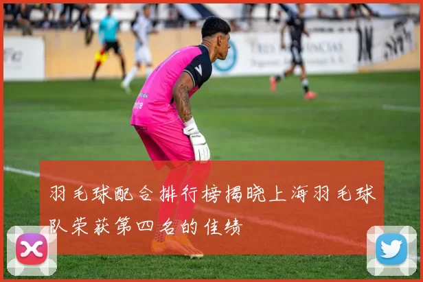 羽毛球配合排行榜揭晓上海羽毛球队荣获第四名的佳绩