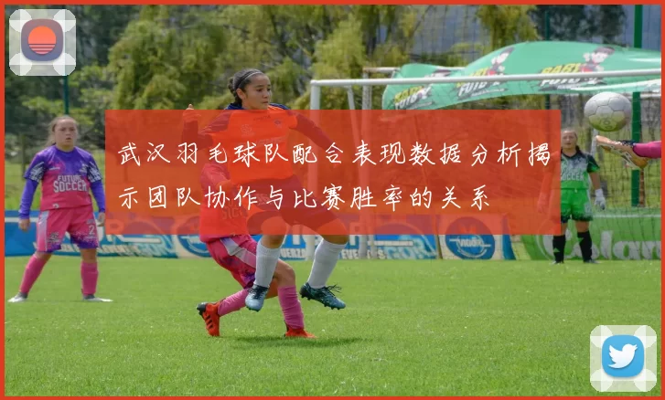 武汉羽毛球队配合表现数据分析揭示团队协作与比赛胜率的关系