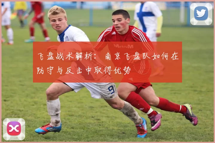 飞盘战术解析：南京飞盘队如何在防守与反击中取得优势