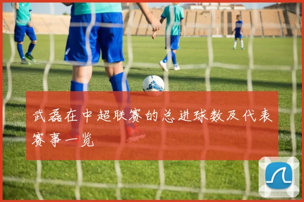 武磊在中超联赛的总进球数及代表赛事一览